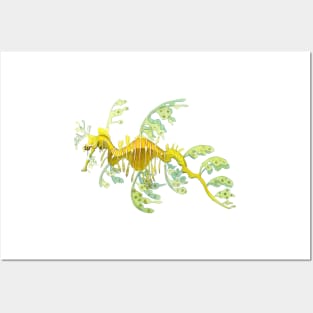 Leafy Sea Dragon Posters and Art